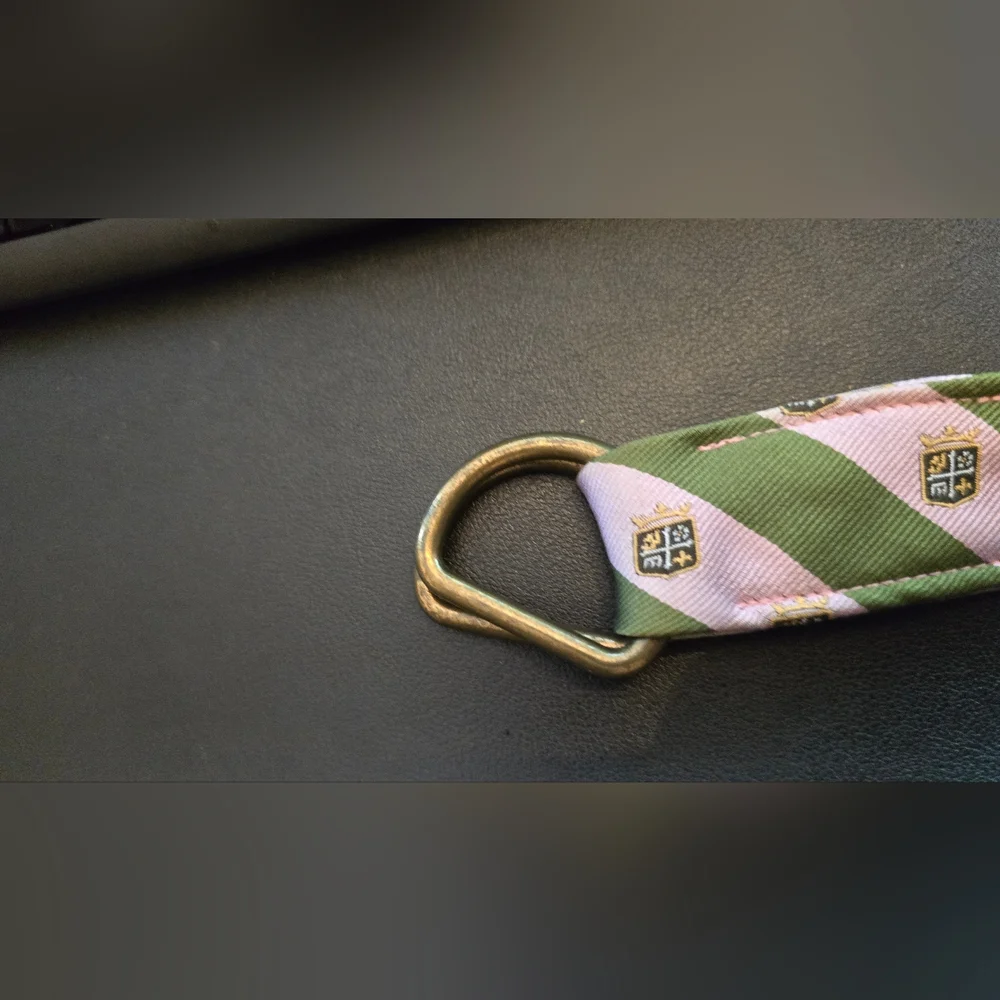 J. Crew Pink and Olive Green Striped Webbing Belt with Brass Buckle - Picture 4 of 5